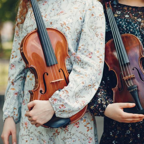 Violin Conservatorio de Olula